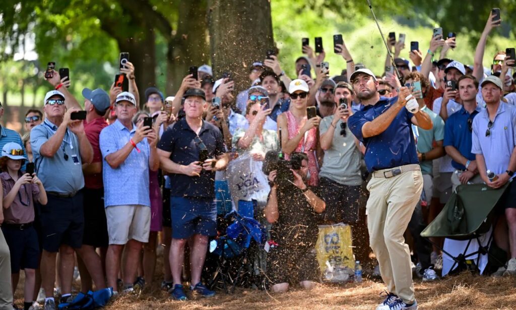 Major Tournament Wins & Career Highlights