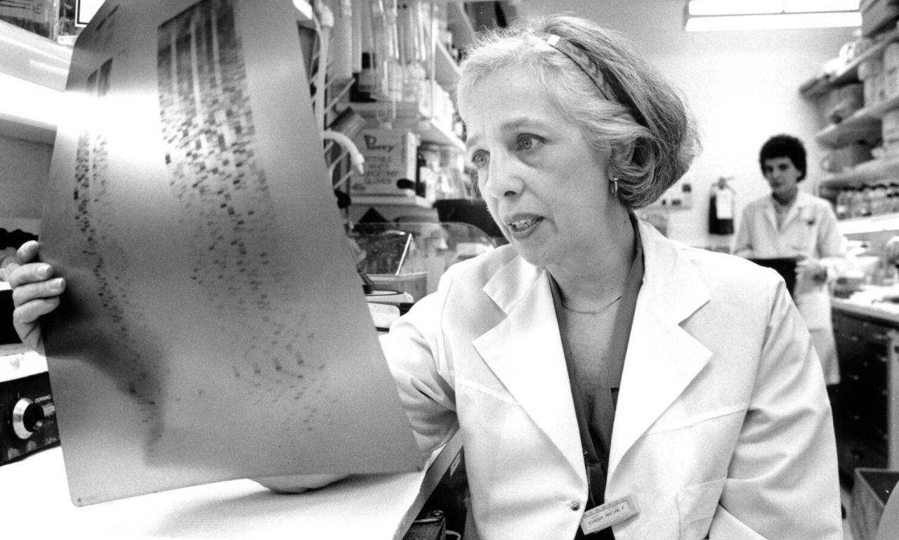 Maxine Sneed’s Early Life and Background