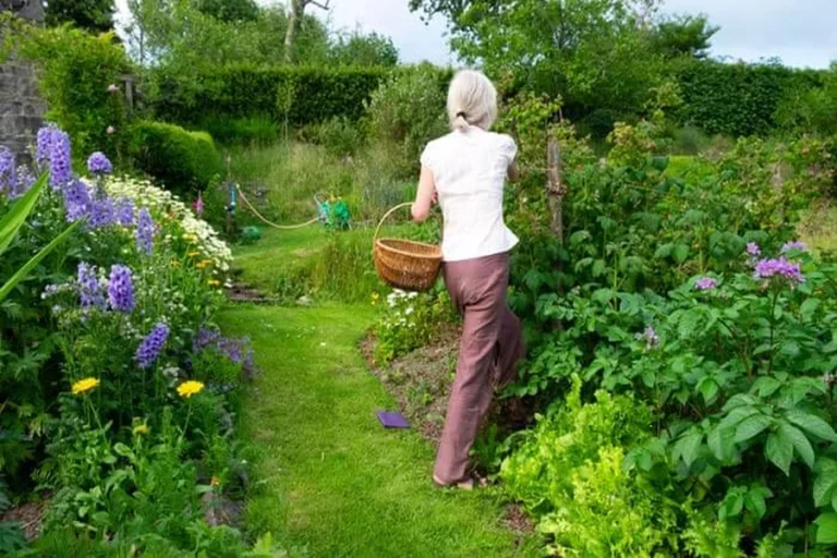 Gardening