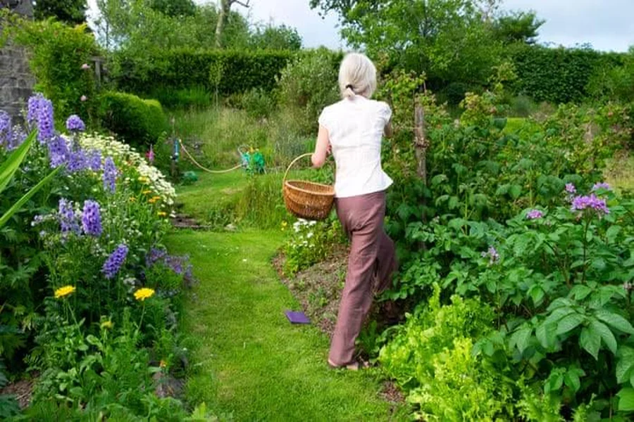 Gardening